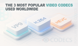 Screenshot of the_3_most_popular_video_codecs_used_worldwide.htm